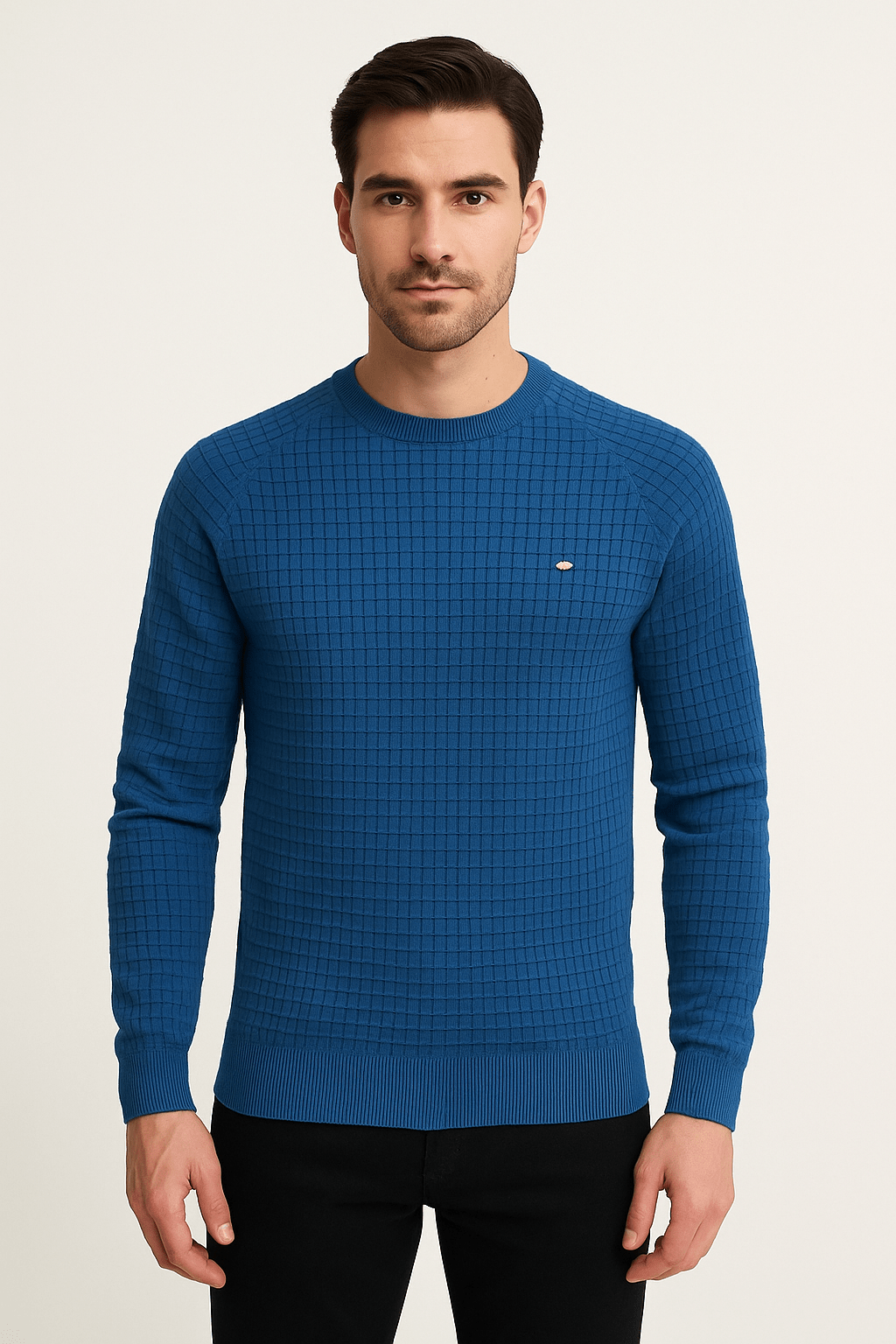 Karl Sweatshirt - Navy back